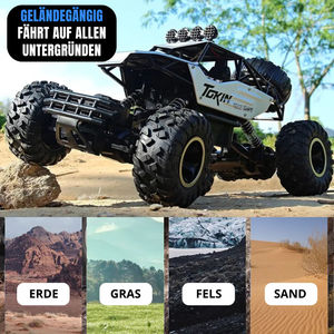 RCX PLUS - Ferngesteuerter Buggy 35 km/h - 2 Akkus