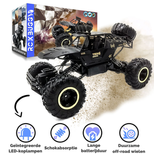 RCX PLUS – Op afstand bestuurbare Buggy 35 km/u -2B