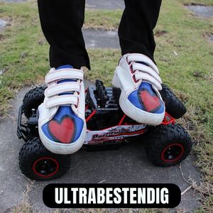 RCX PLUS – Op afstand bestuurbare Buggy 35 km/u -2B