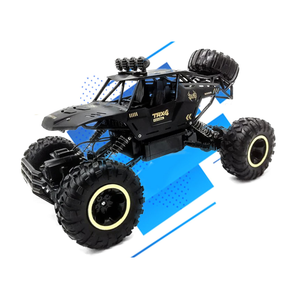 RCX PLUS - Remote Controlled Buggy 35km/h - 2 Battery Pack